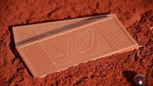 Milk chocolate lying in cocoa powder